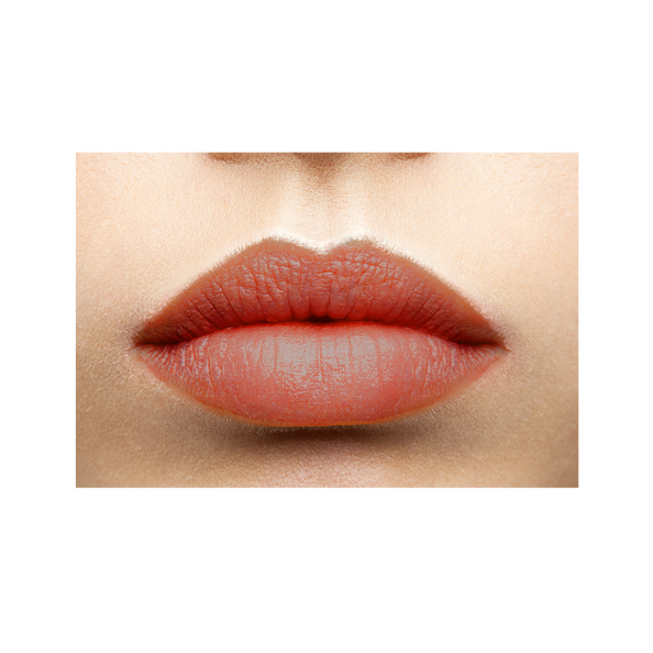 Lip Care Colour (Burgundy)