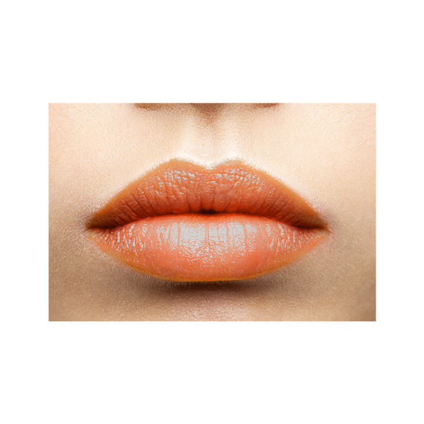 Lip Gloss (Warm Copper)