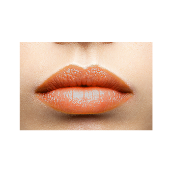 Lip Gloss (Warm Copper)