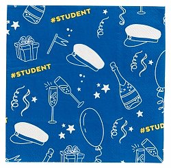 Student Napkin pac 33x33cm