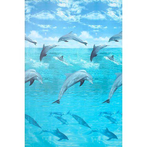 Ocean