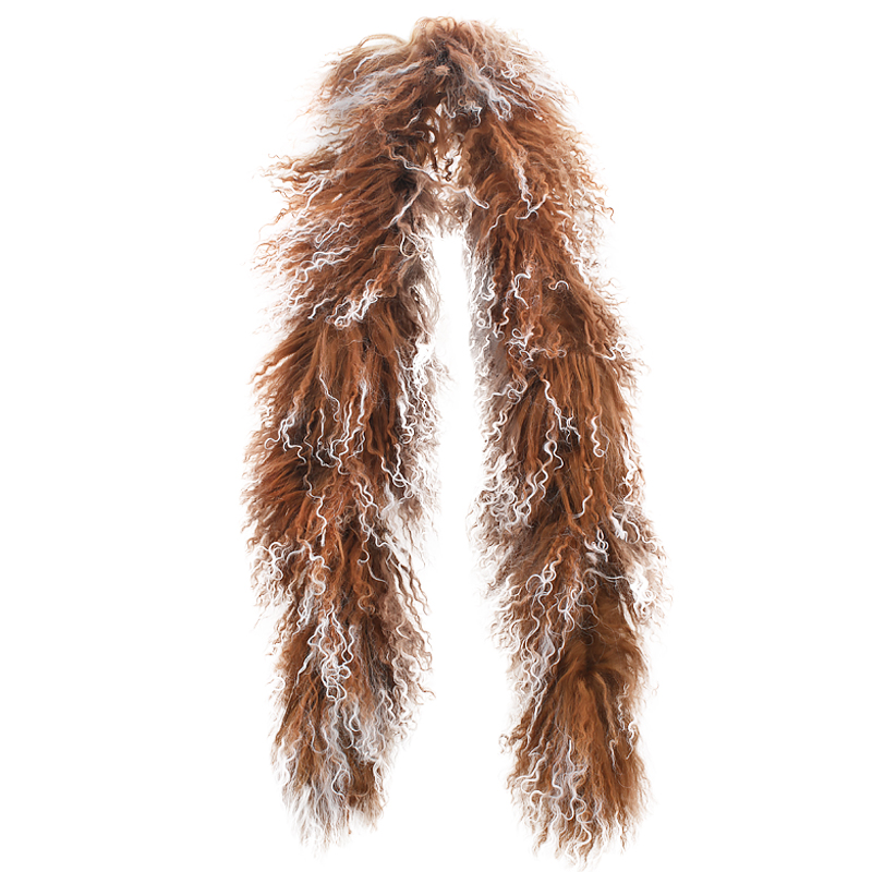 Tibetboa brown snowtop - 2