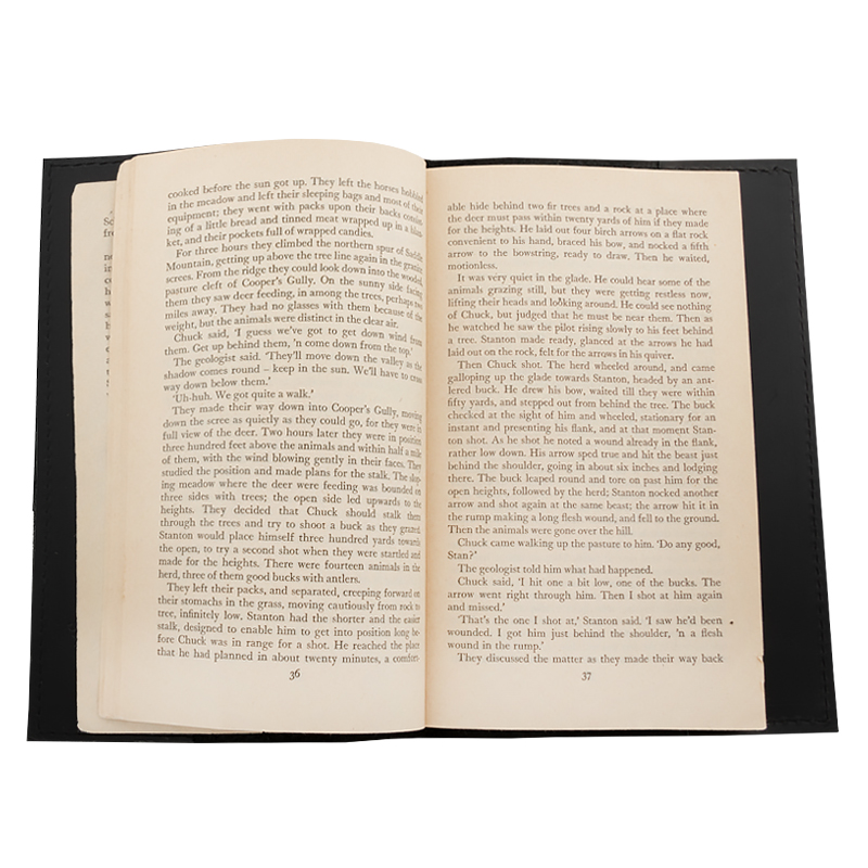 Book cover in leather dragon black - 2