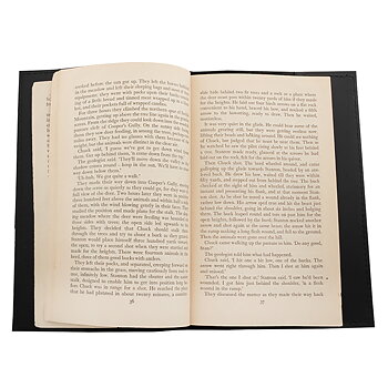 Book cover in leather dragon black