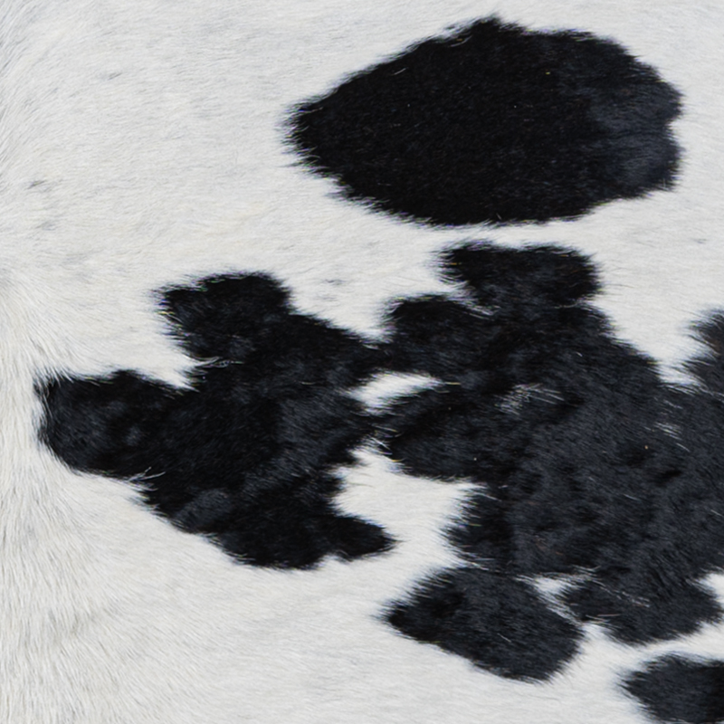 Cowhide white with spots  5 - 2