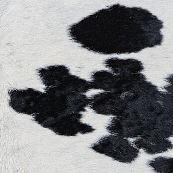 Cowhide white with spots  5
