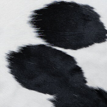Cowhide white with spots 12