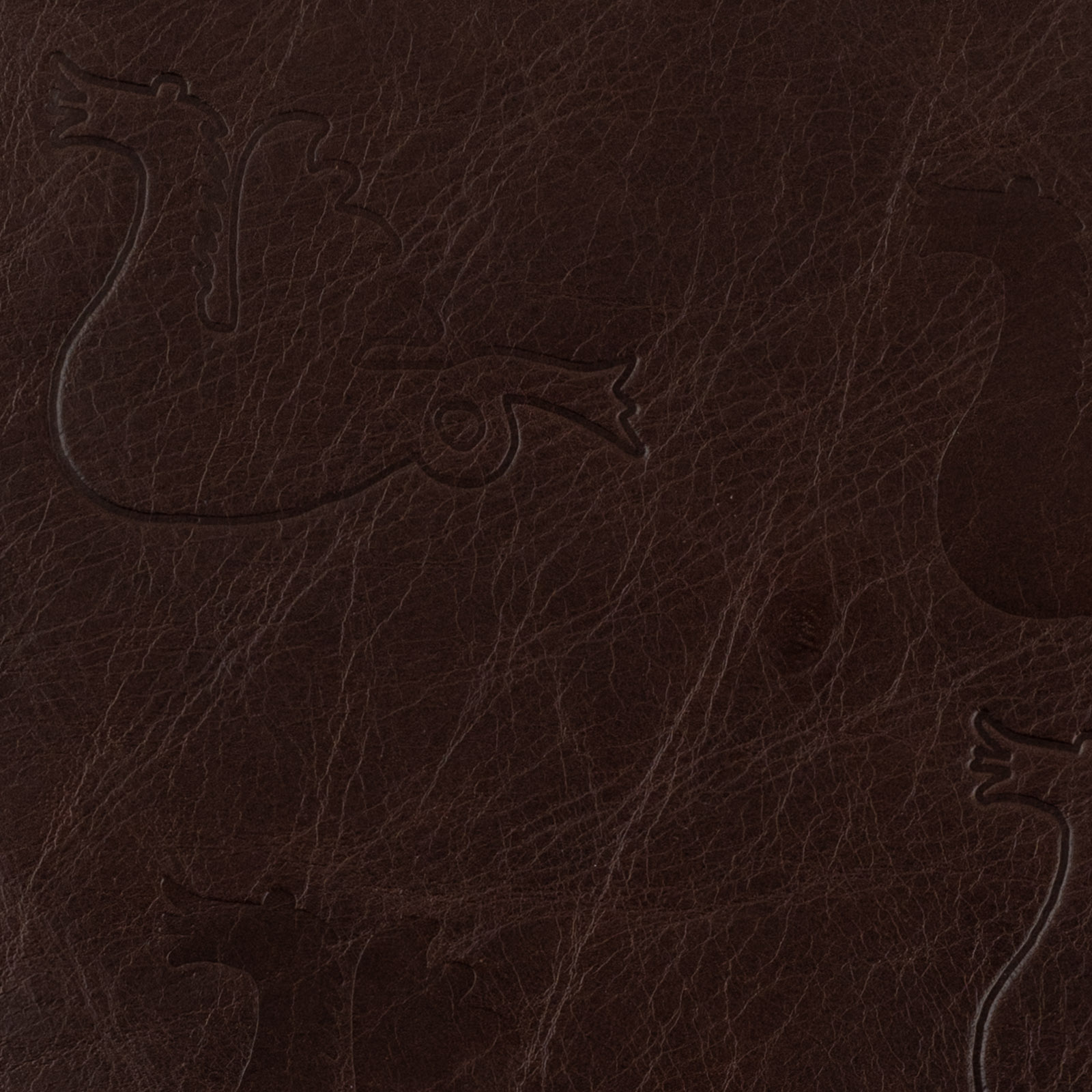 Brown book cover in leather with wild dragons - 4