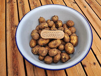 Vegetable Brush