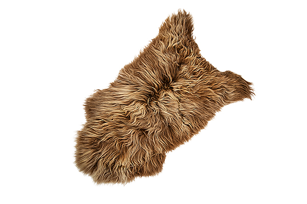 Lambskin and sheepskin