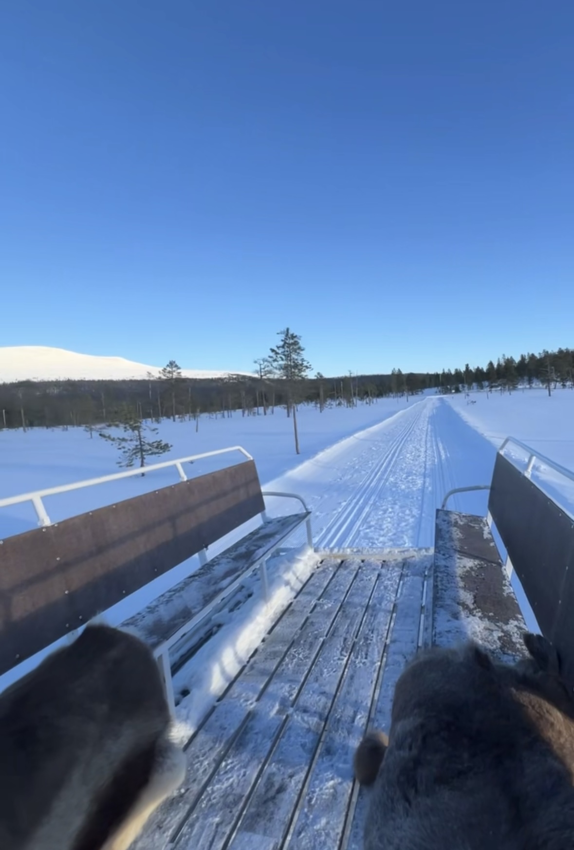 Mysig kälktur runt Idre Fjäll Tisdagar & Torsdagar var 15min mellan kl.13.00-16.00 Gratis för barn under 7år vid betalande vuxen