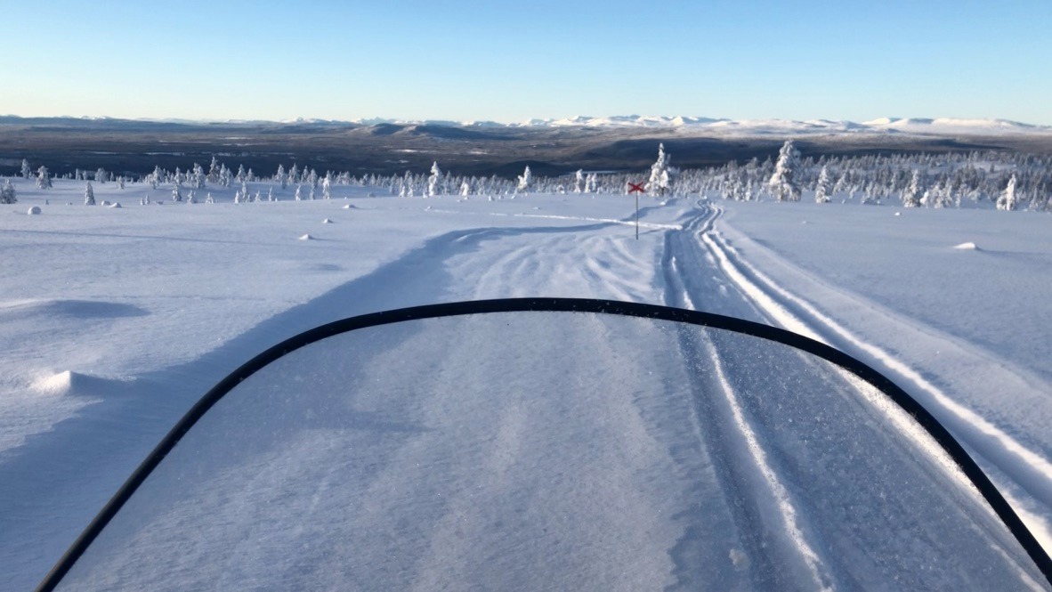 Cozy sledtour around Idre Fjäll  