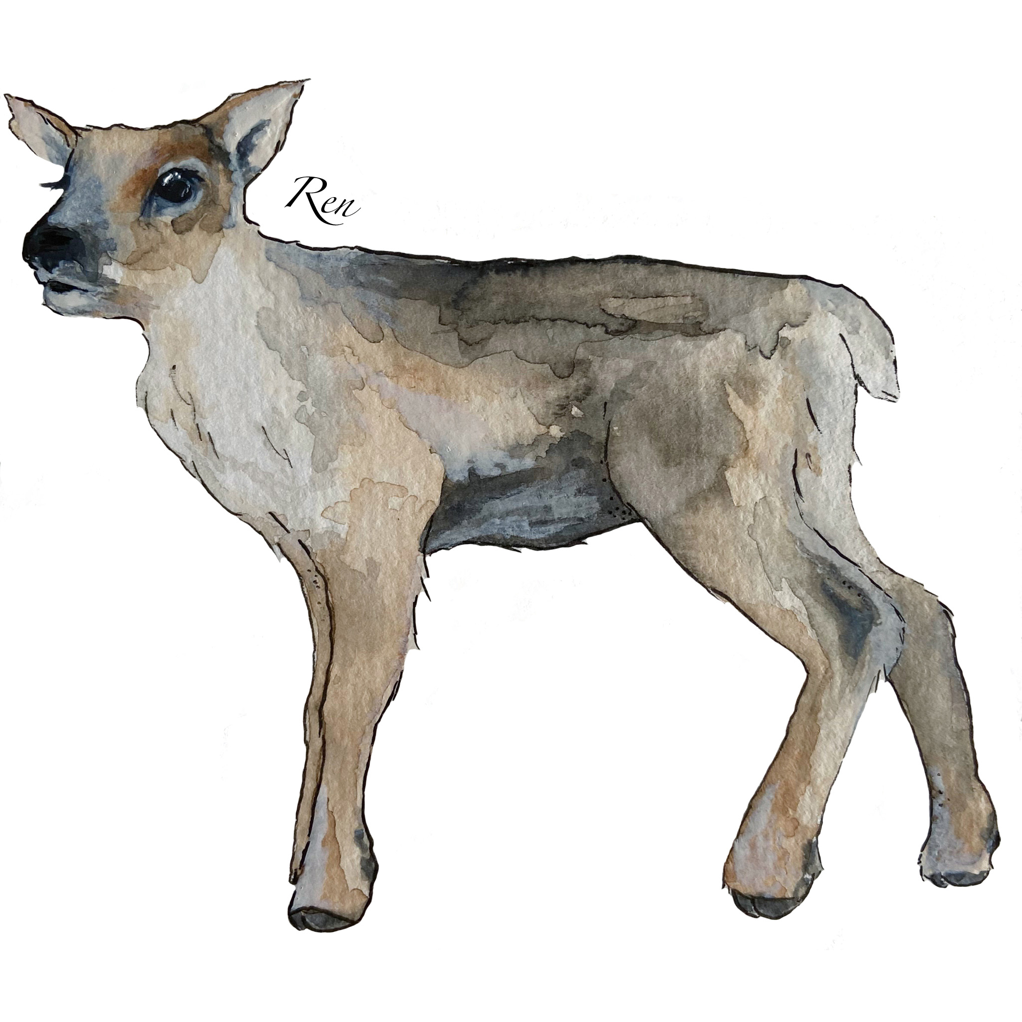 Mössa renkalv - 3