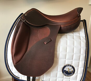 Ergo Flap Dressyr B1