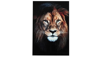 Glastavla Lion