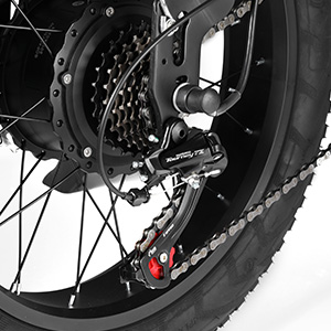 Pionver E-bike Electric Bike, 500W Motor 20″ Fat Tire p40
