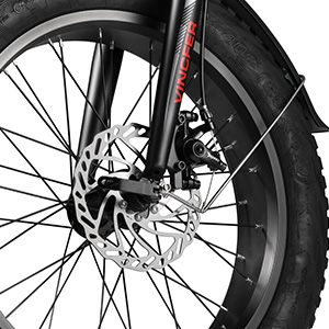 Pionver E-bike Electric Bike, 500W Motor 20″ Fat Tire p40 - 4