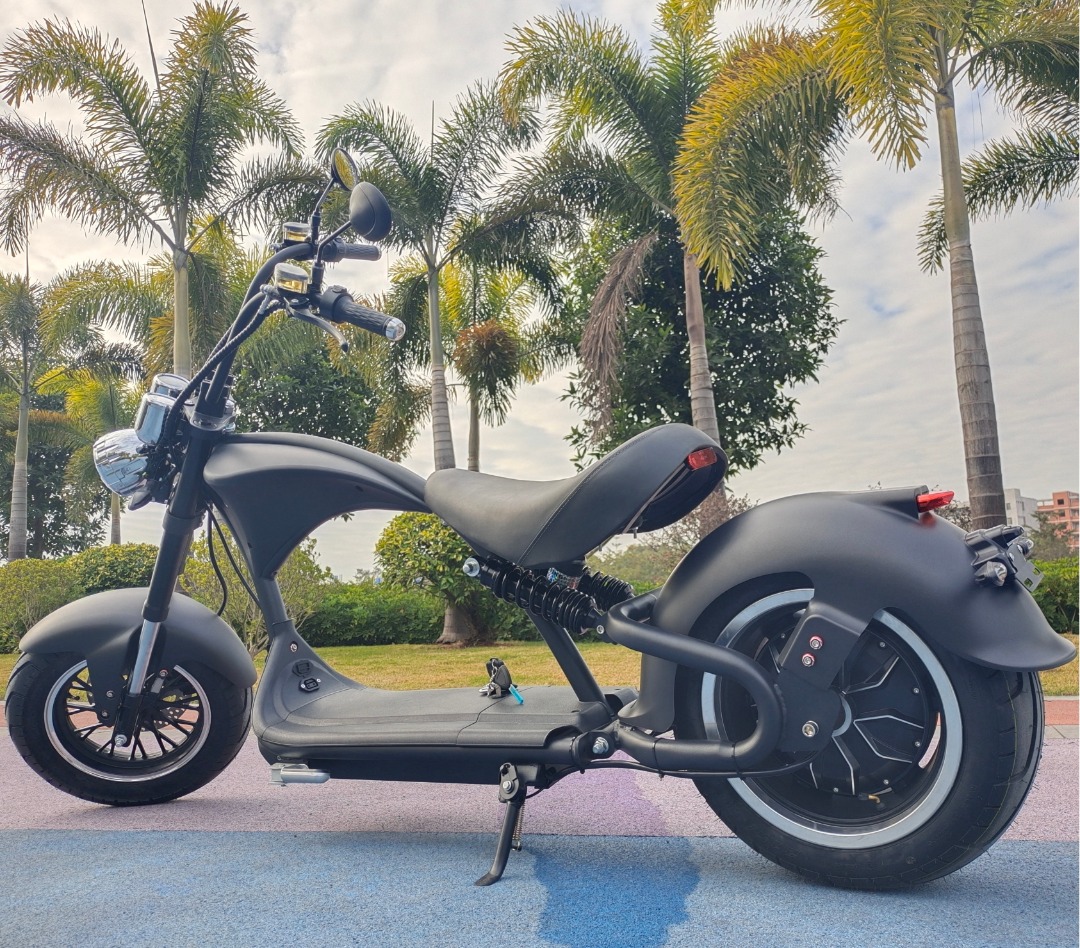 M1PEEC electric adult scooters 2000w 30AH 202305