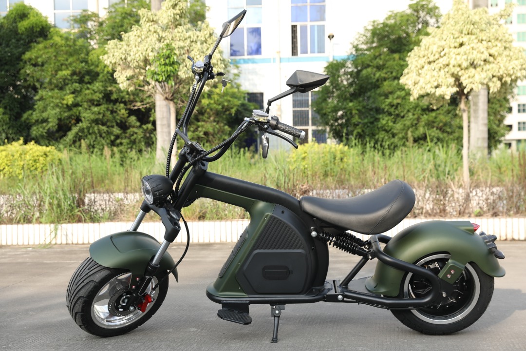M 8 EEC  2000W 60V 20ah/  202305