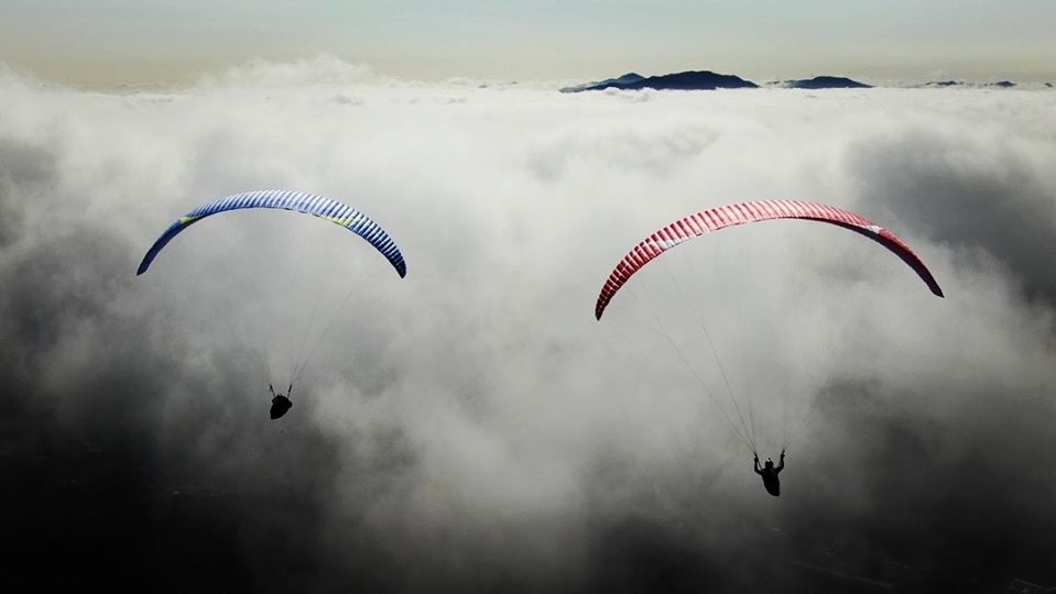 DAVINCI gliders Tango EN C 20223