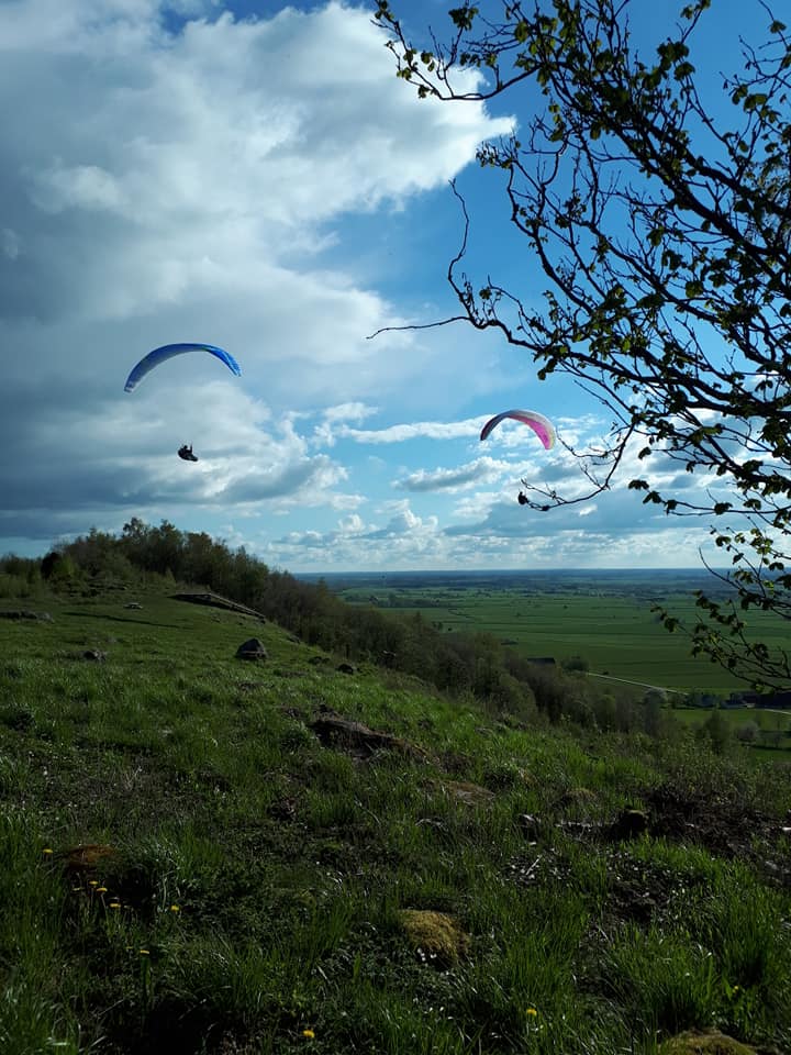 DAVINCI gliders Tango EN C 20223 - 3