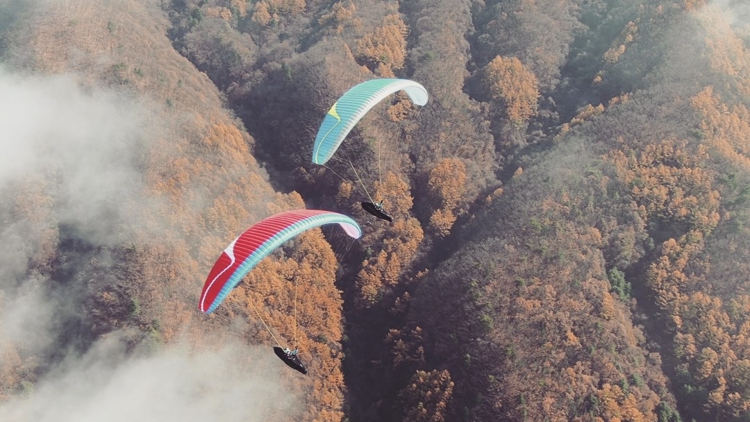DAVINCI gliders Tango EN C 20223