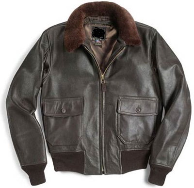 Pilot PJ-16
