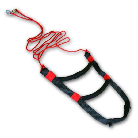 Charly soft speedsystem 202302