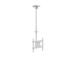 M Public Ceiling Mount Medium Single White 3000
