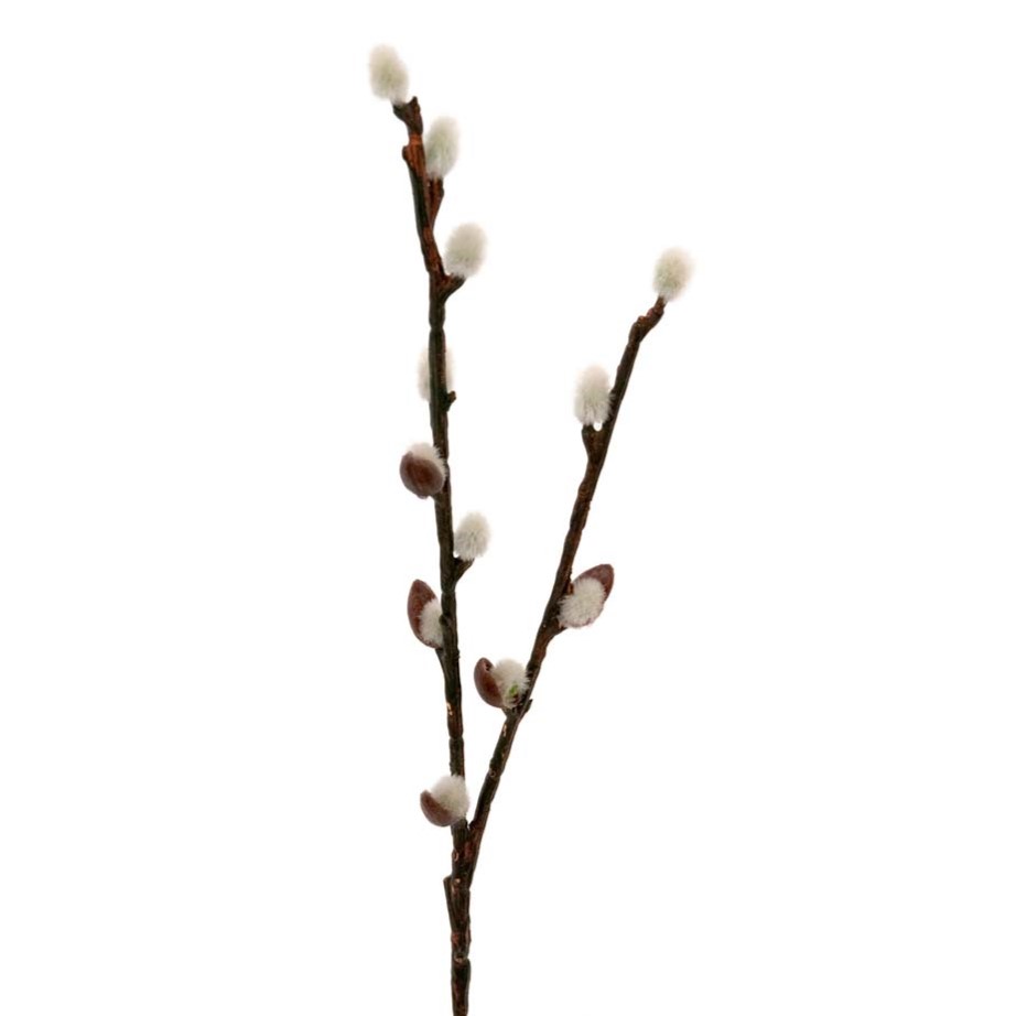 Vide Kvist 36 cm  - 3