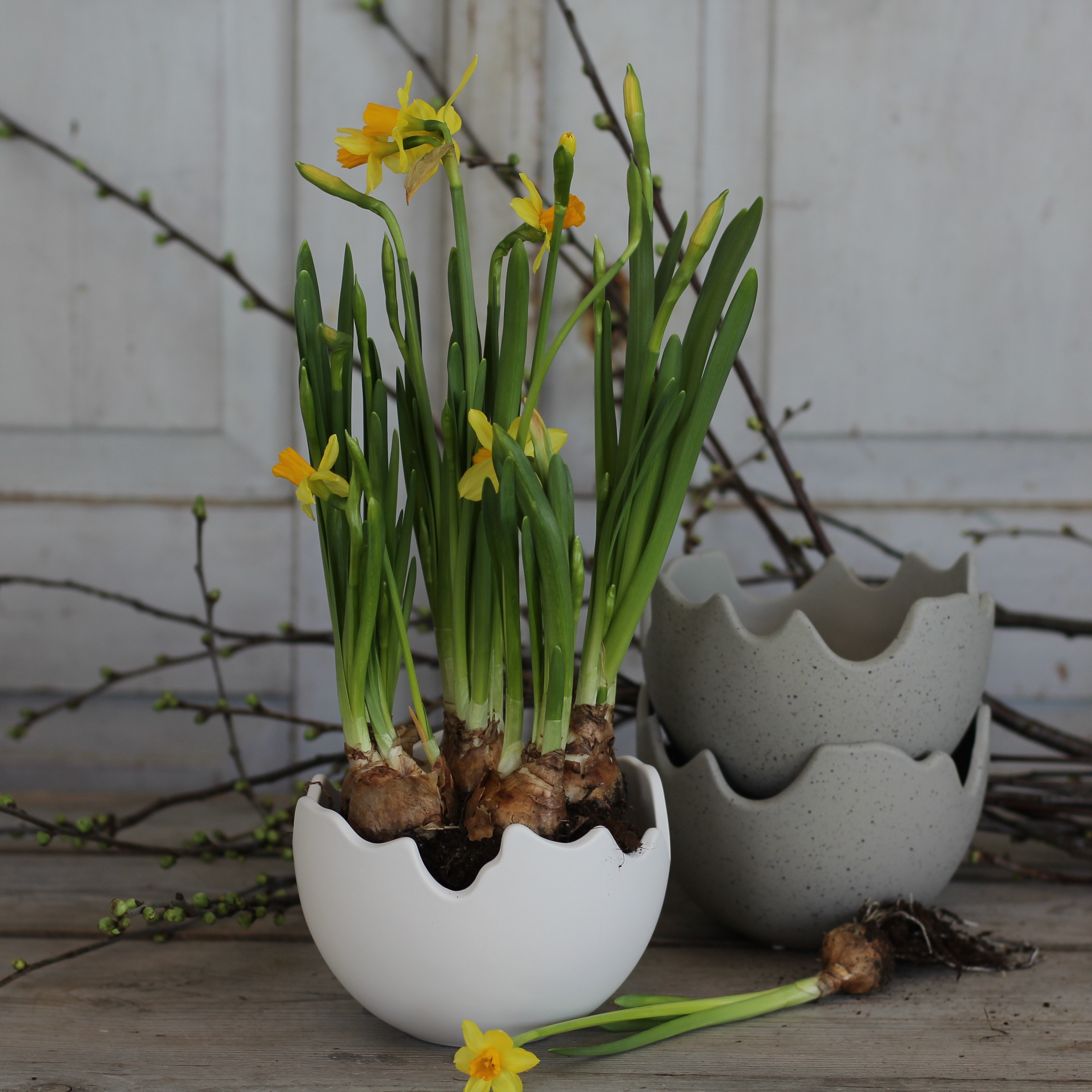 Happy Easter Vit Skål/kruka - Stor - 2