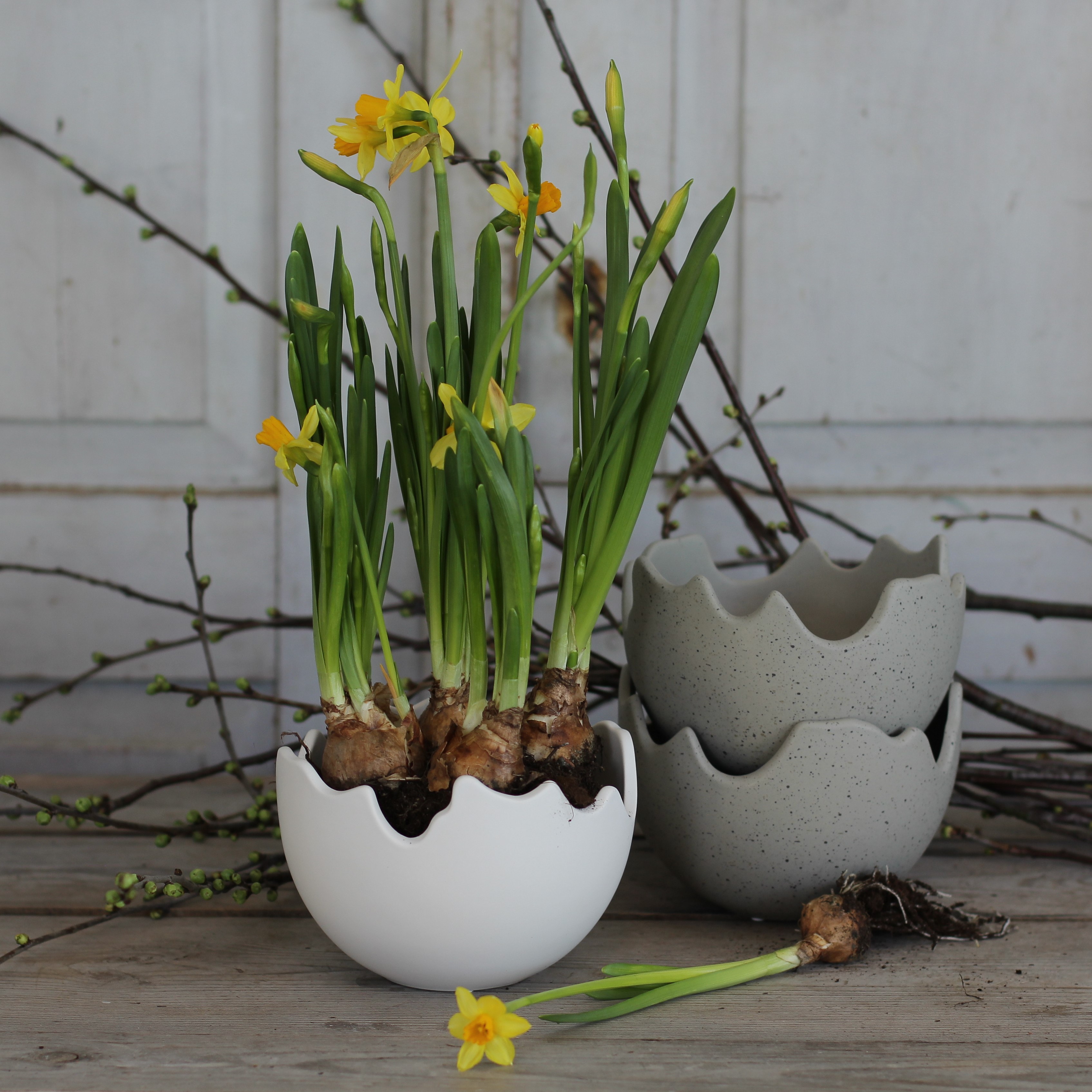 Happy Easter Vit Skål/kruka - Stor - 5