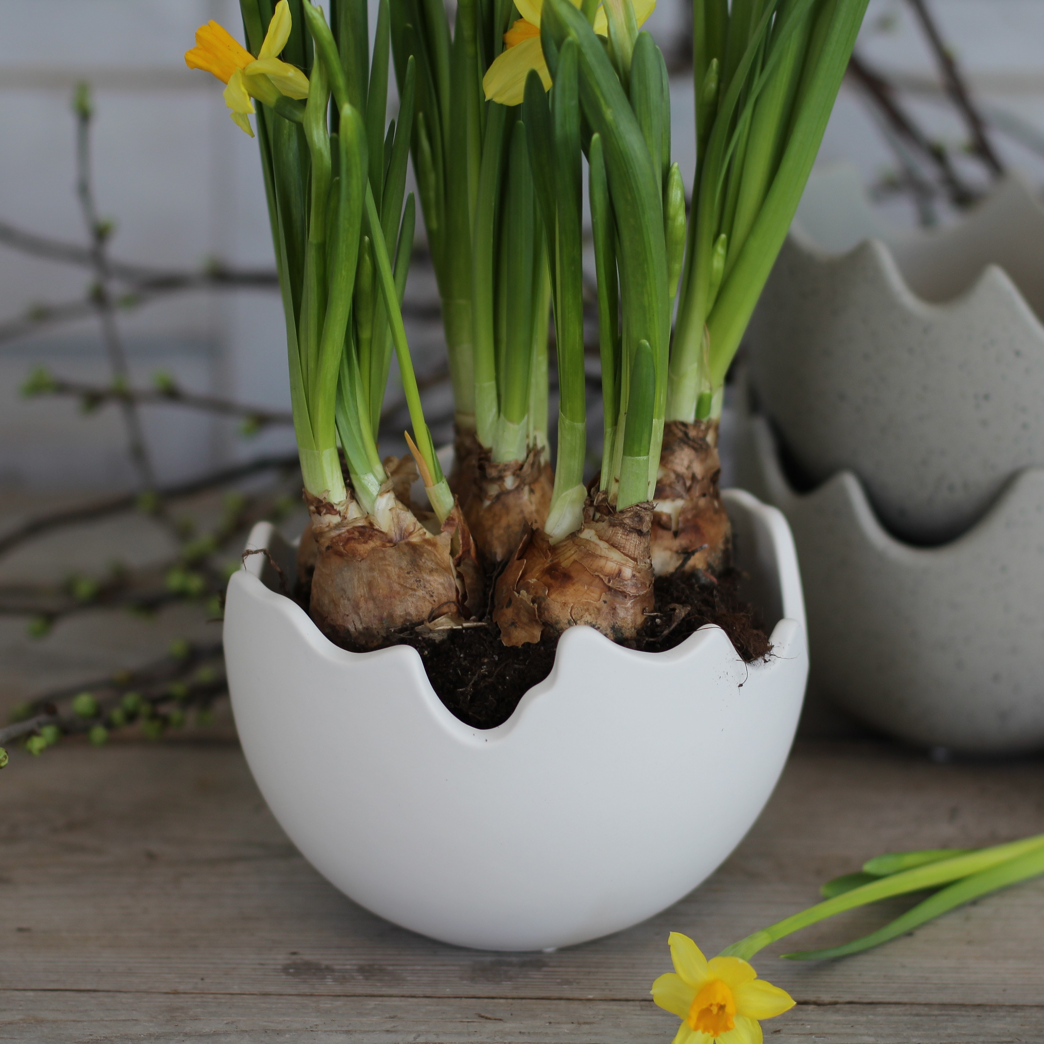 Happy Easter Vit Skål/kruka - Stor - 3