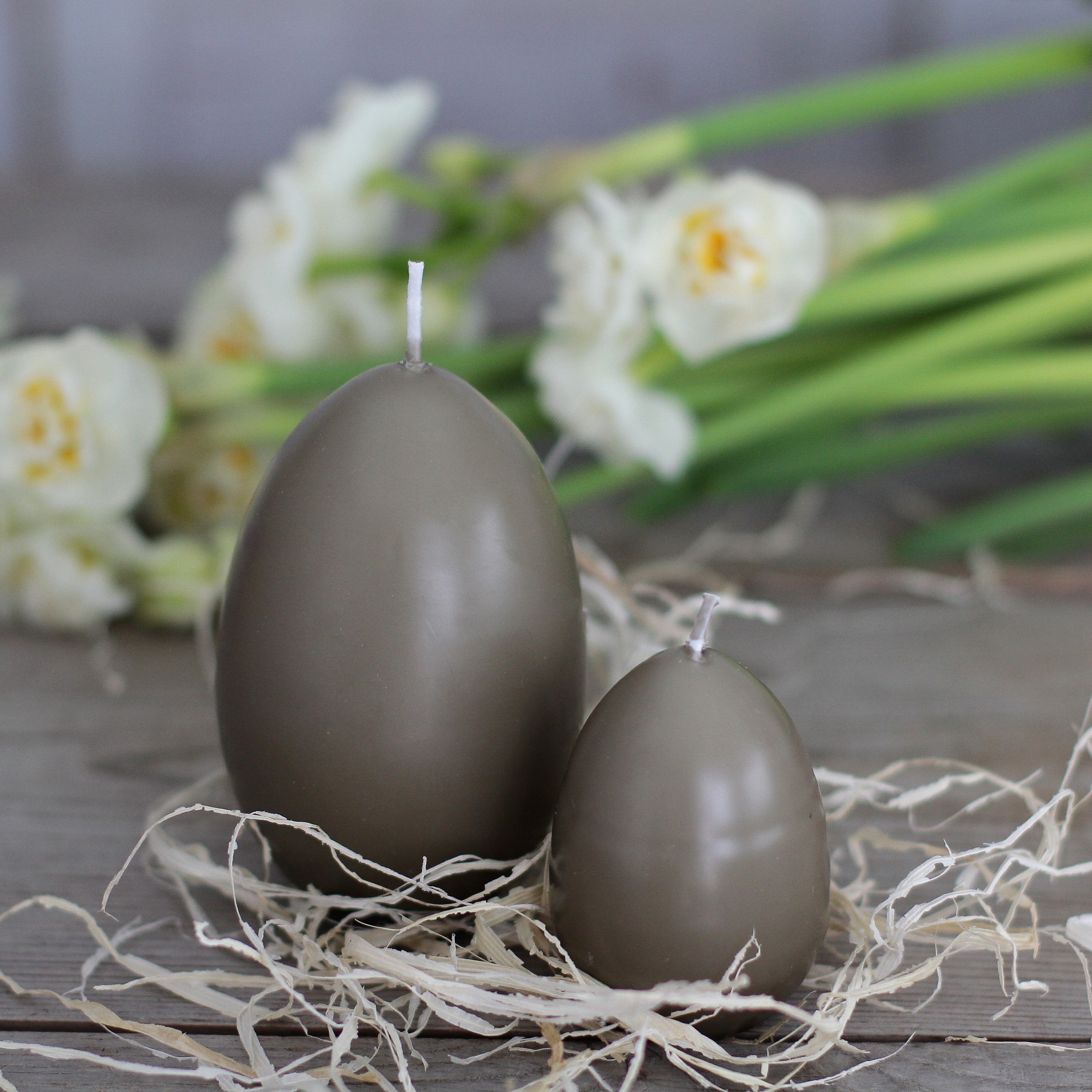 Ljus - Andägg brun - 2
