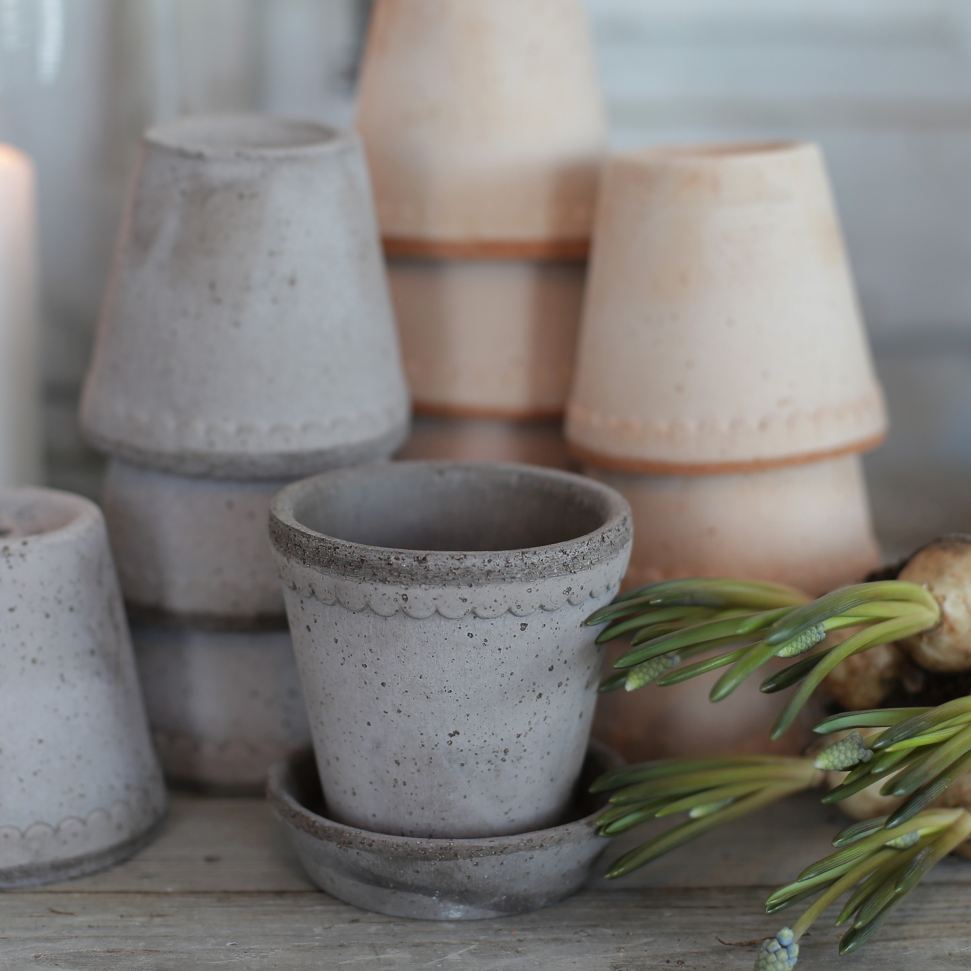 Kruka Helena mini 8,5 cm grå - Bergs Potter