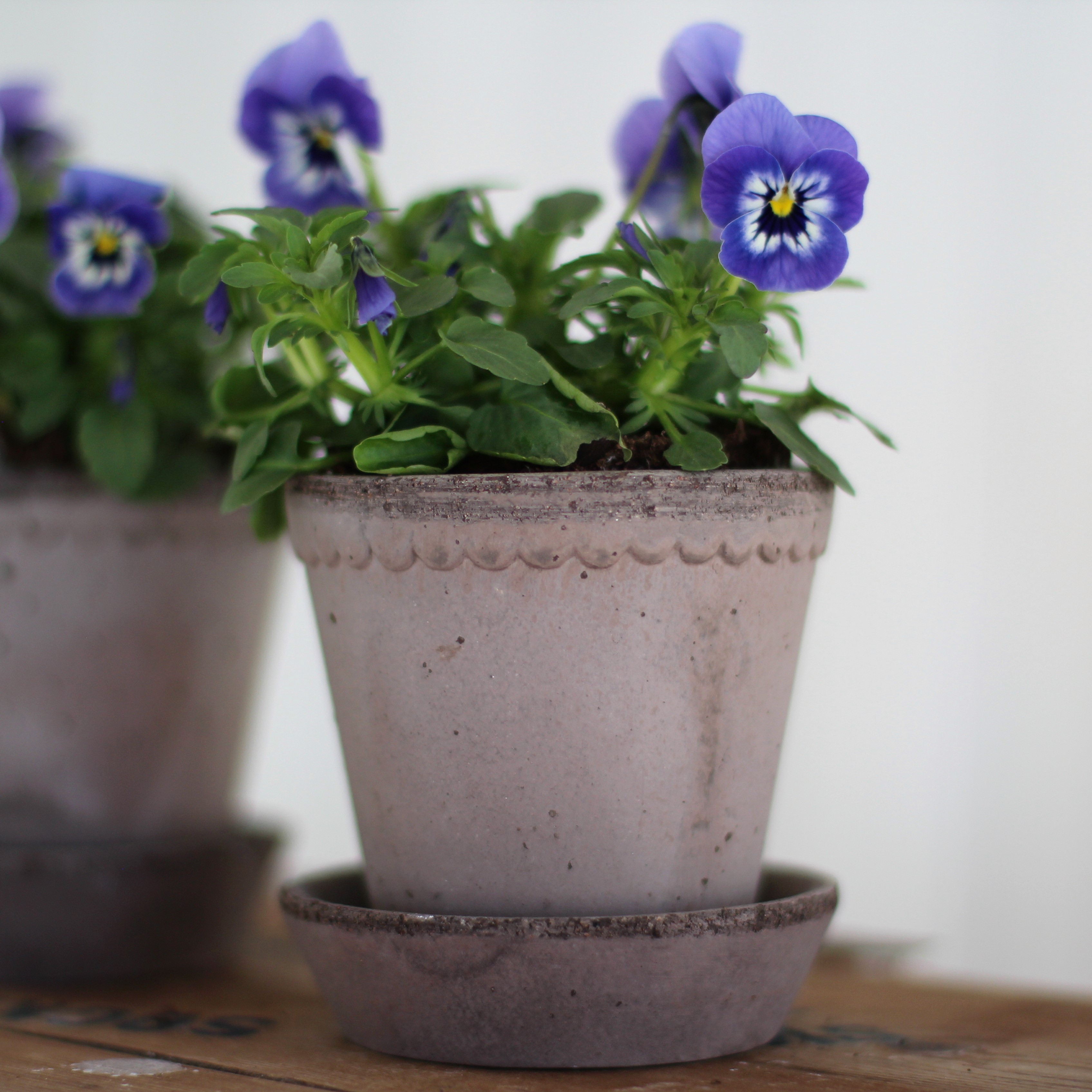 Kruka Helena mini 8,5 cm grå - Bergs Potter - 9