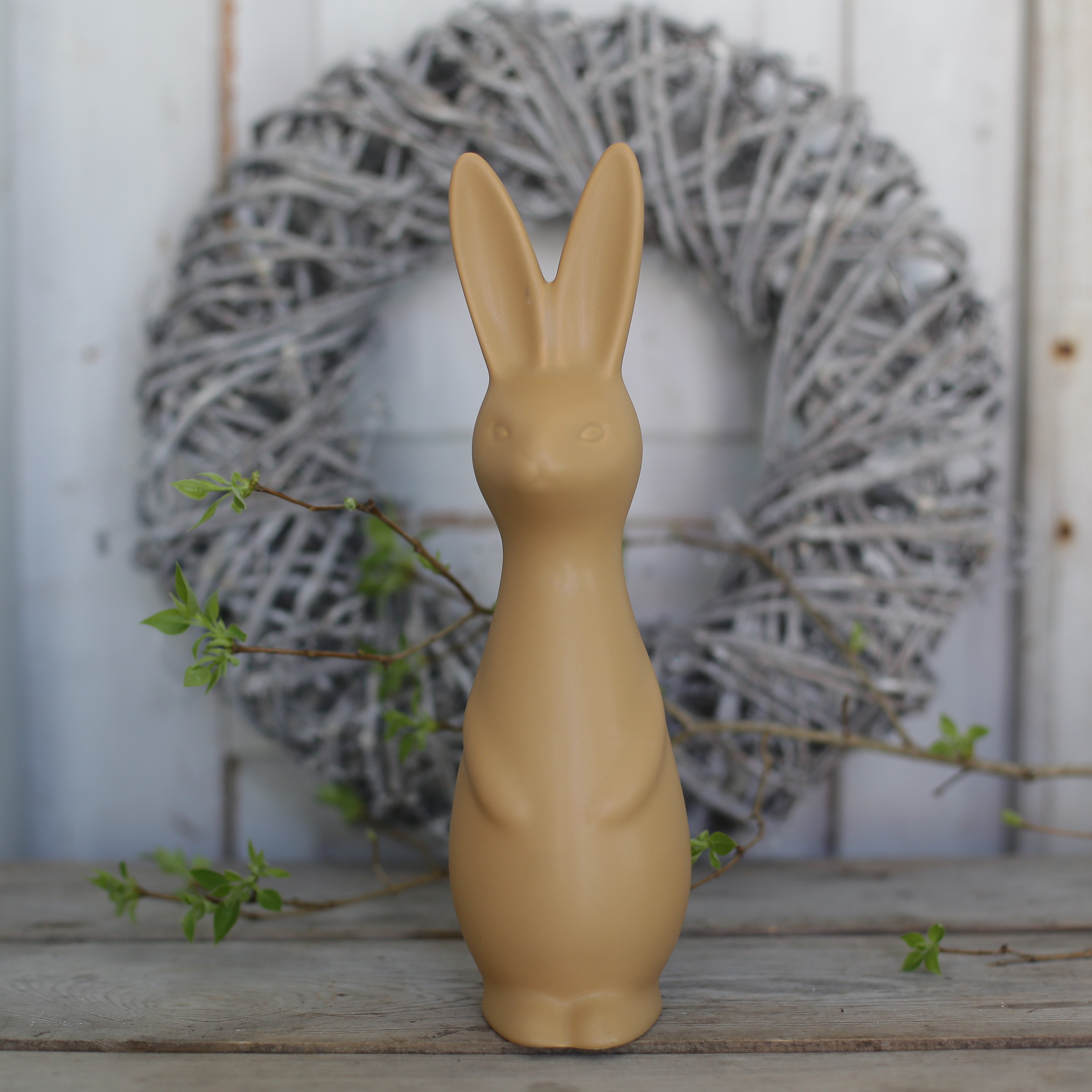Swedish rabbit Ocra  - Stor - 4