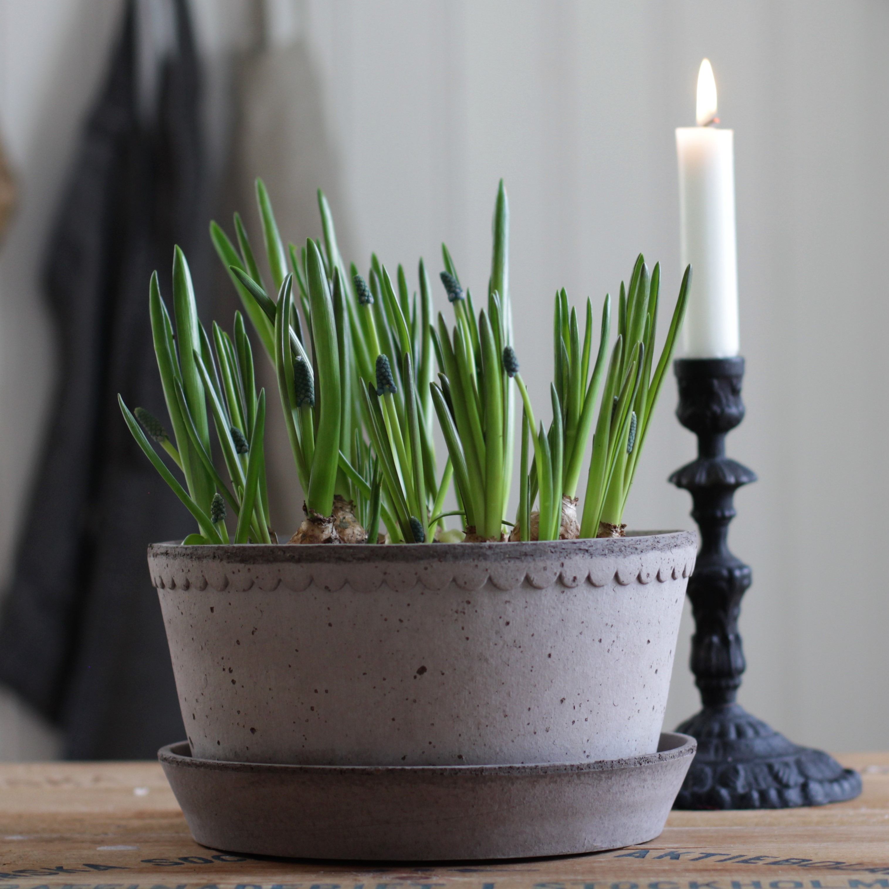 Kruka Helena  låg  grå - Bergs Potter - 2