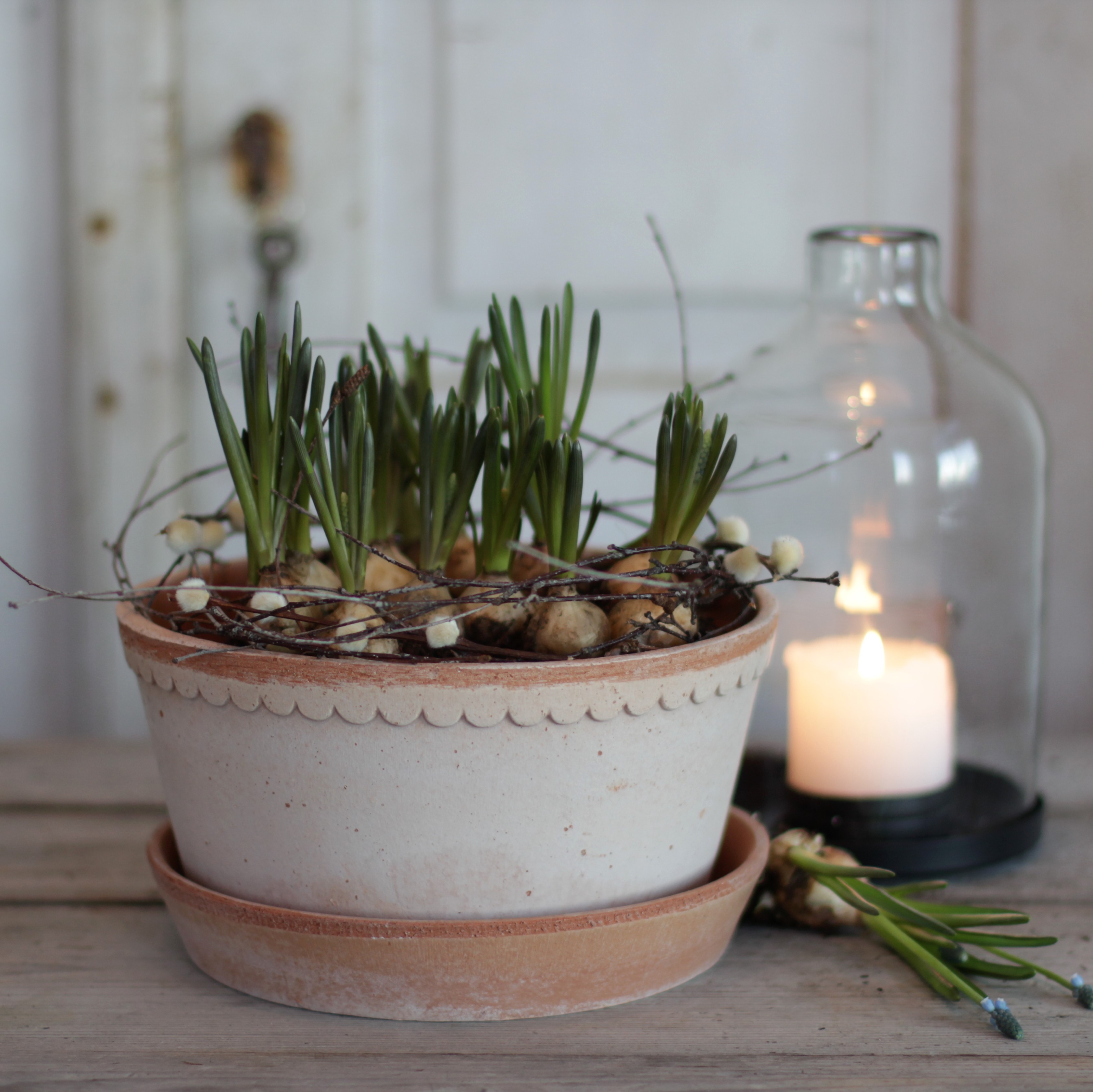 Kruka Helena  låg  terracotta - Bergs Potter - 2