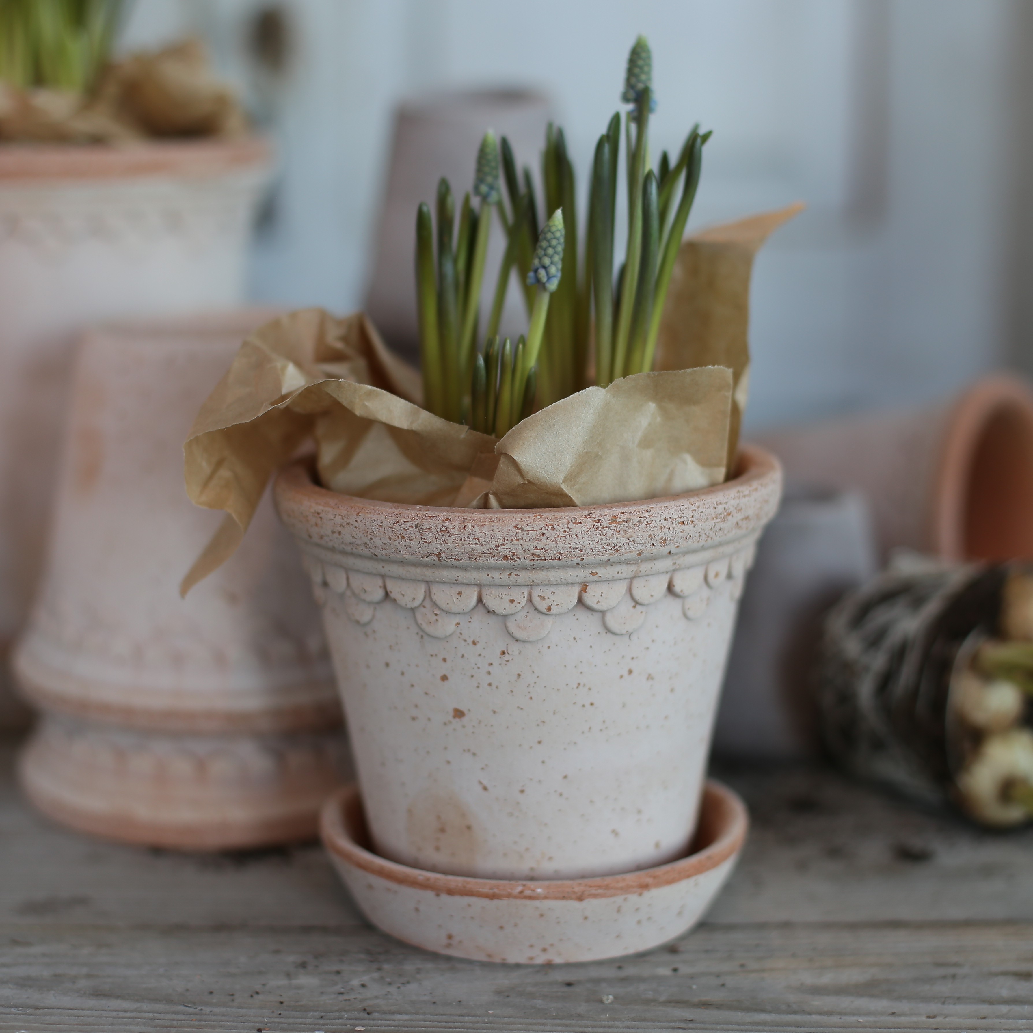Kruka Köpenhamn  12 cm rustik terracotta  - Bergs Potter - 2