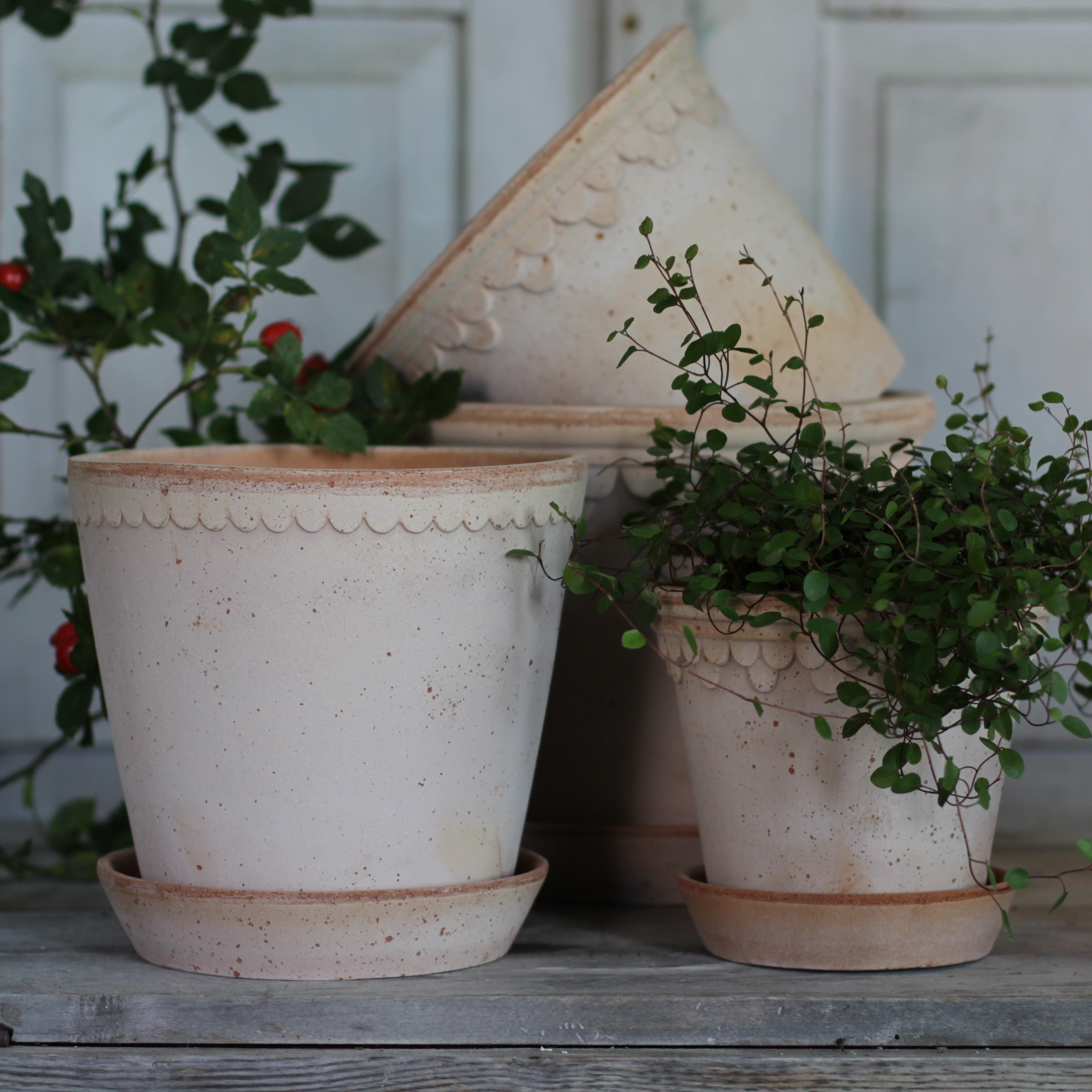 Kruka Helena  21 cm rustik terracotta - Bergs Potter - 6