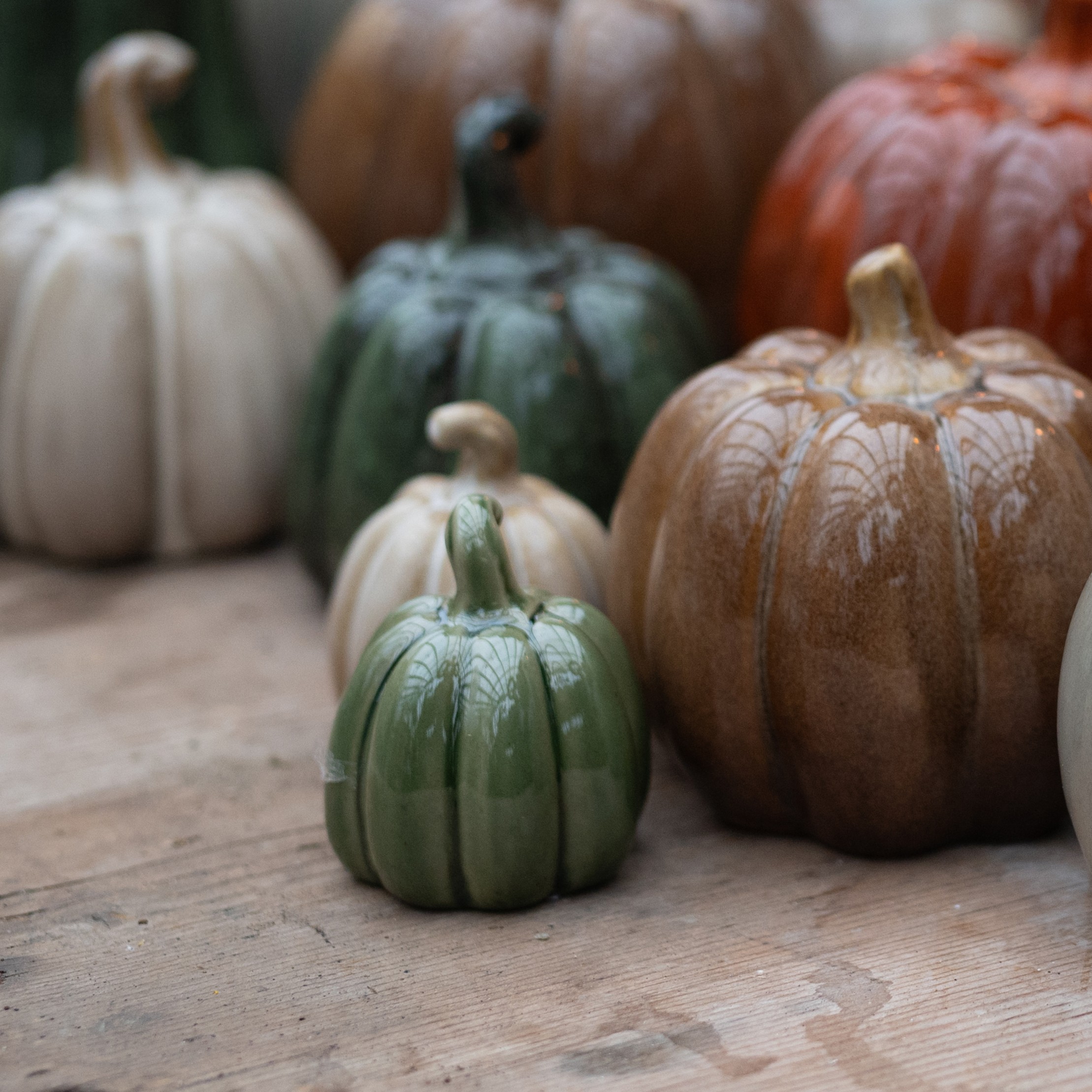 Pumpa Beige - Mini - 4