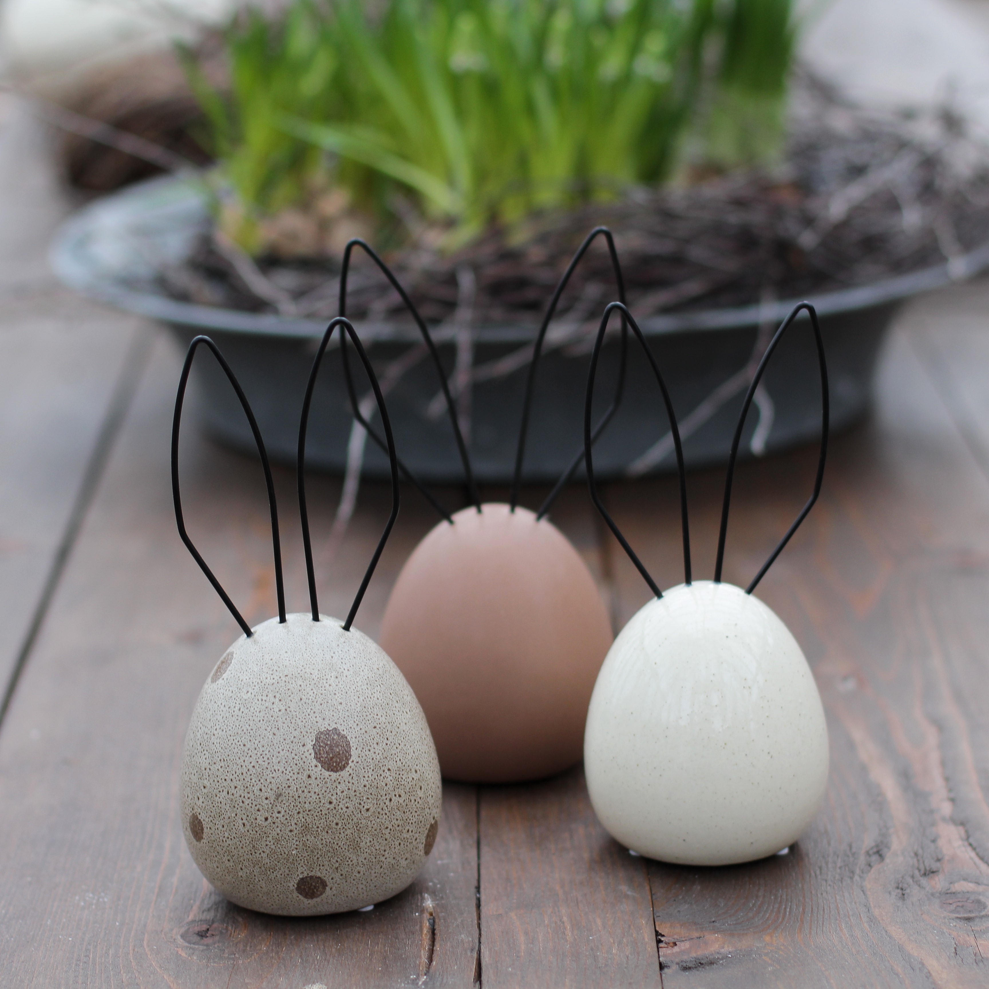 Hare - Beige Dot - 3