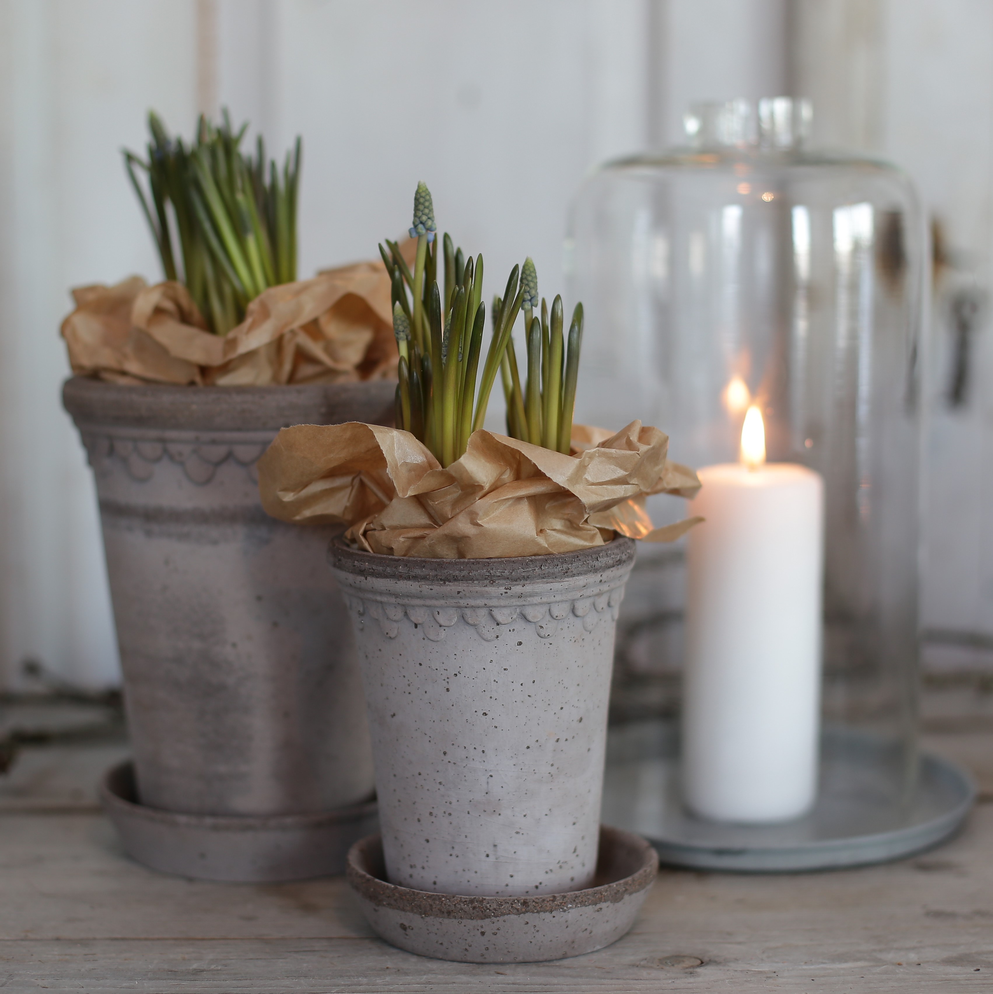 Kruka Köpenhamn låg smal grå - Bergs Potter - 2