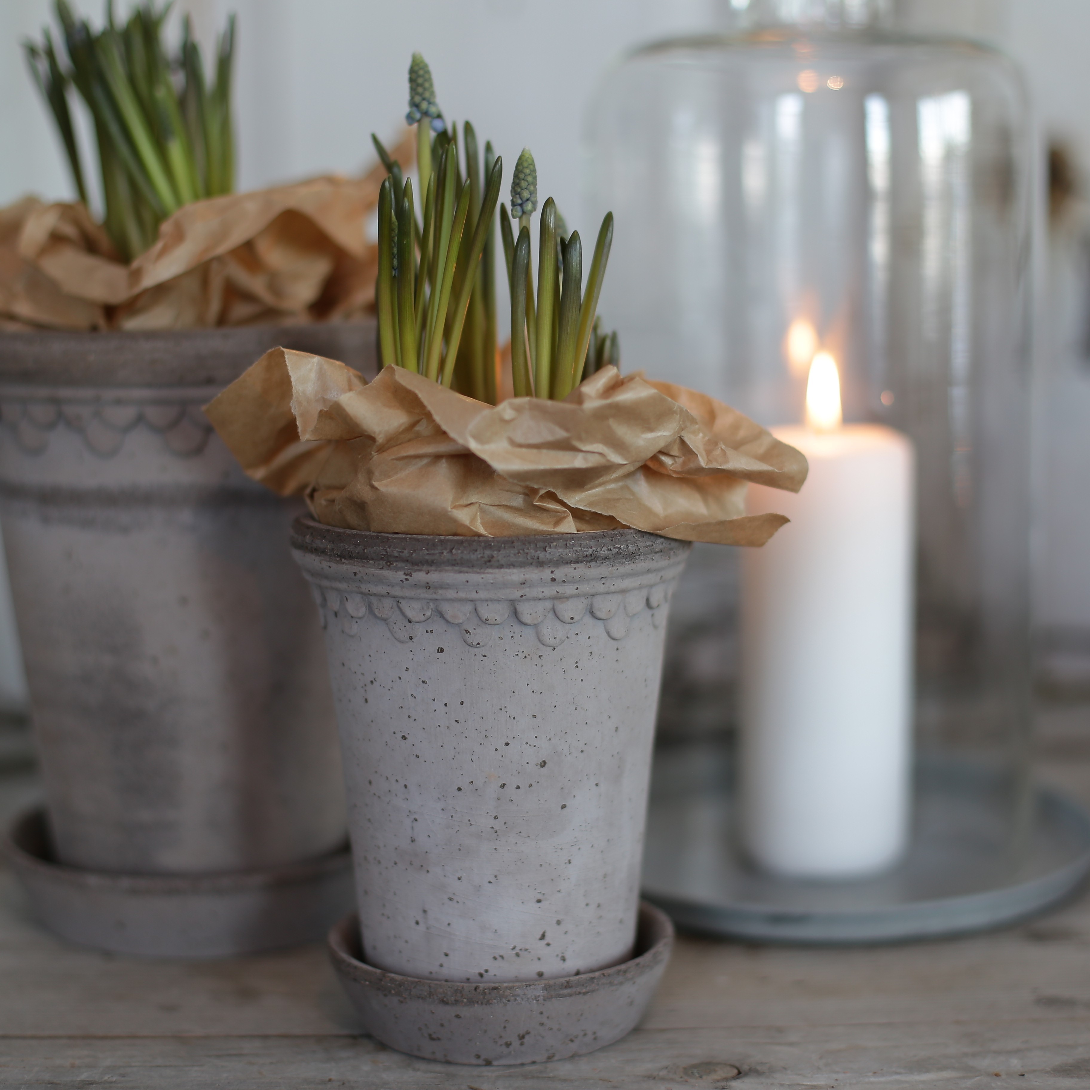 Kruka Köpenhamn låg smal grå - Bergs Potter