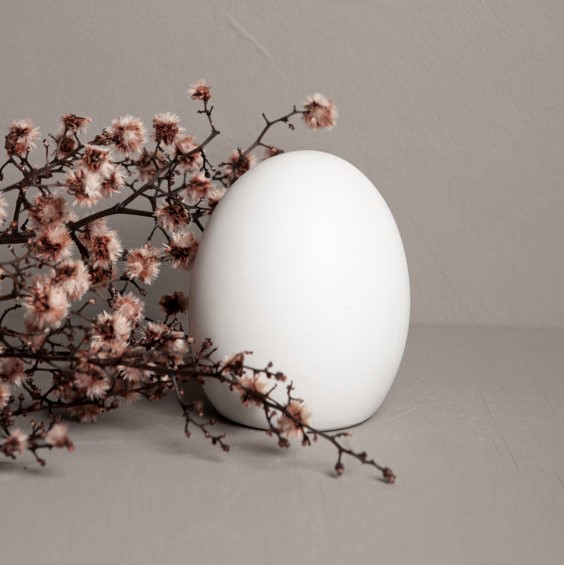 Ägg Bjuv Vitt -Litet
