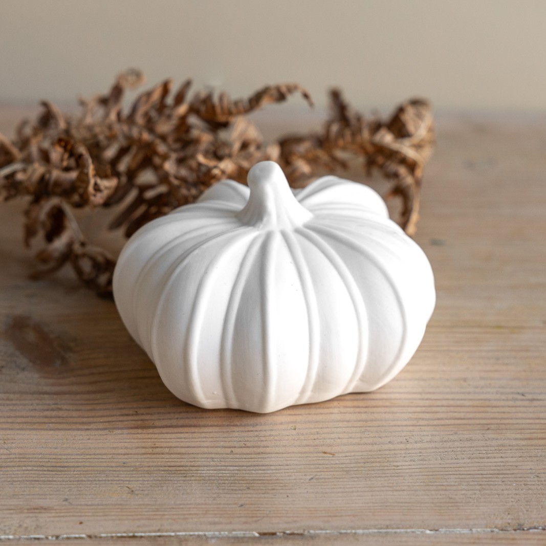 Pumpa Hovsjö Vit - Liten