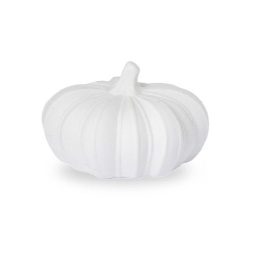 Pumpa Hovsjö Vit - Liten - 3