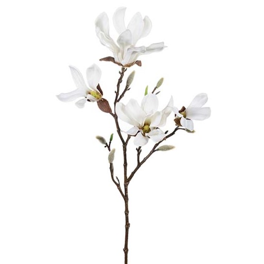 Magnolia Kvist 50 cm - Vit - 3