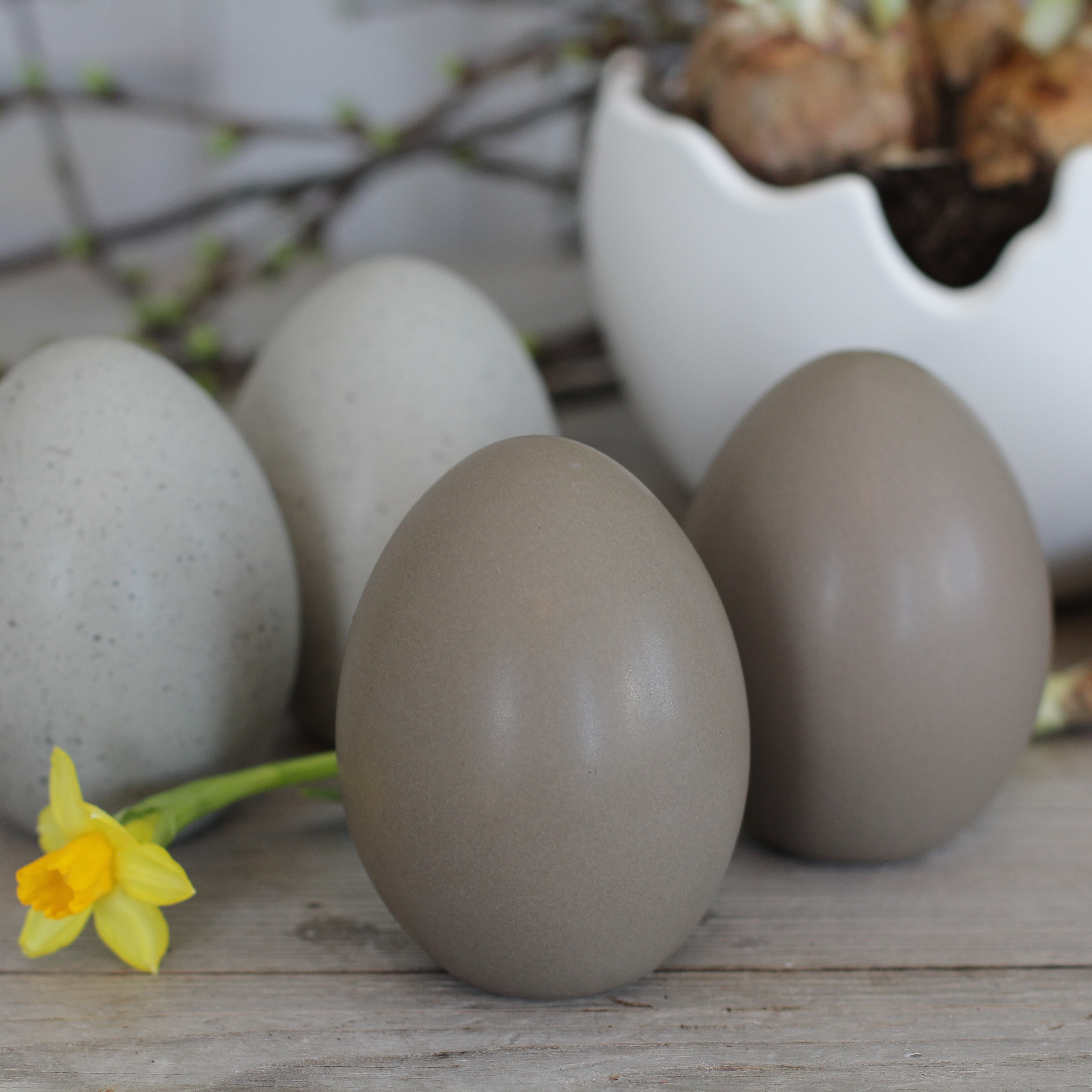Standing egg - Natur